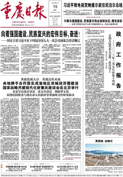 新澳门全年免费料精准，实用释义与落实策略