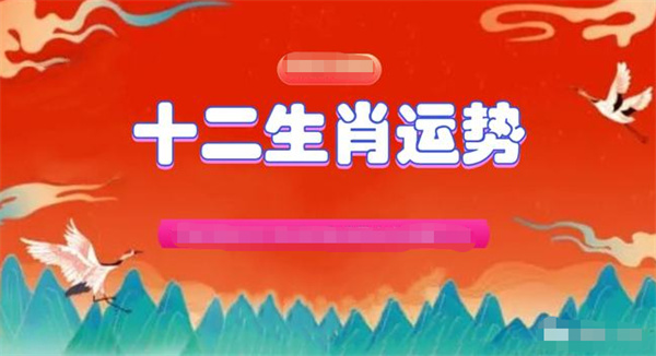 一肖一码，解析与精选资料解析