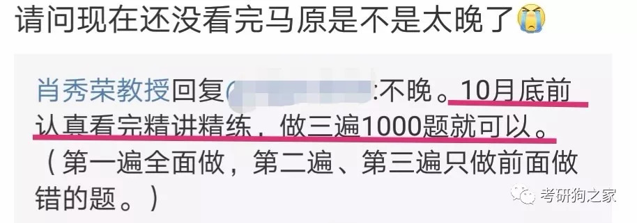 新澳门四肖期期准免费，全面释义与解释落实
