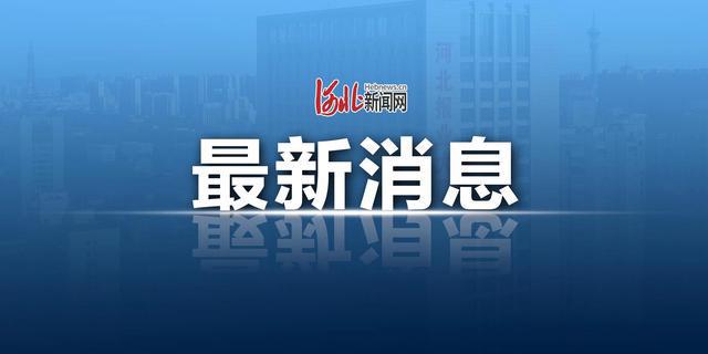 澳门天天彩期期精准，全面贯彻解释落实的重要性与策略