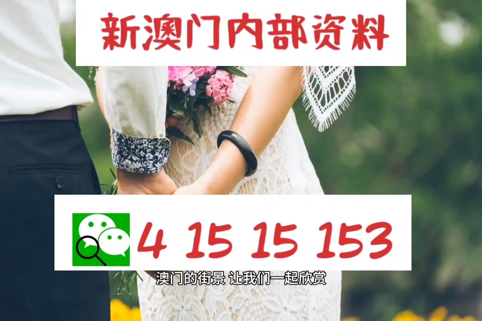 关于澳门特马今晚号码的全面释义与解释落实的探讨