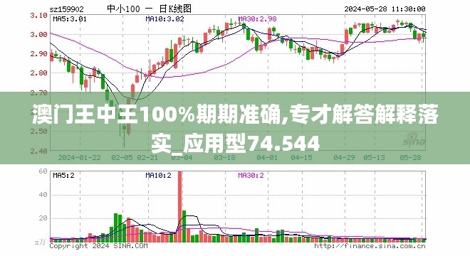 新澳门王中王期期解析与实用释义解释落实之道