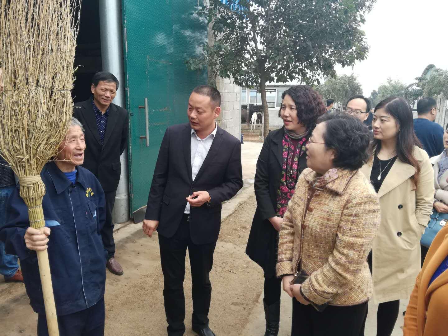 关于精准资料提供与词语释义落实的探讨与实践