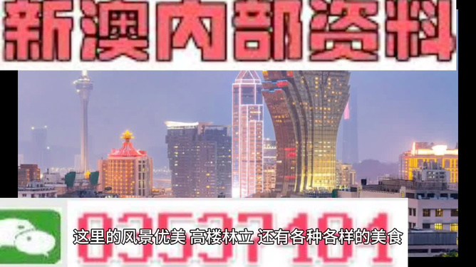 新澳门天天彩期期精准龙门客栈，解析与精选解释