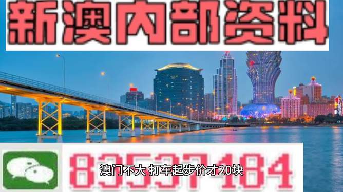 新澳门全年免费料精准，解读与落实的关键要素