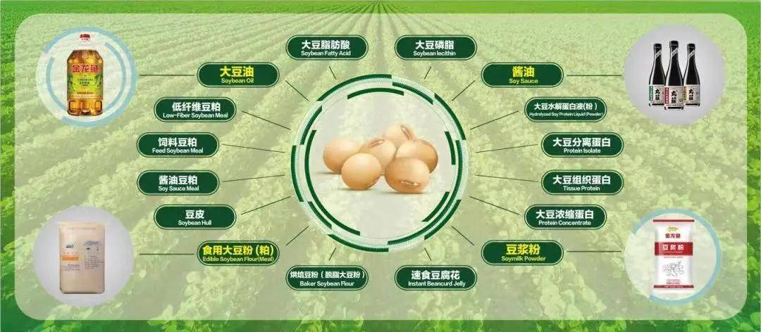 覃朝乐 第193页