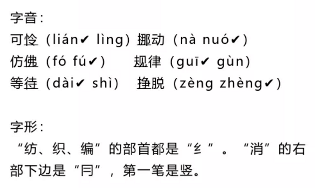 澳门一码一肖一恃一中与词语释义解释落实