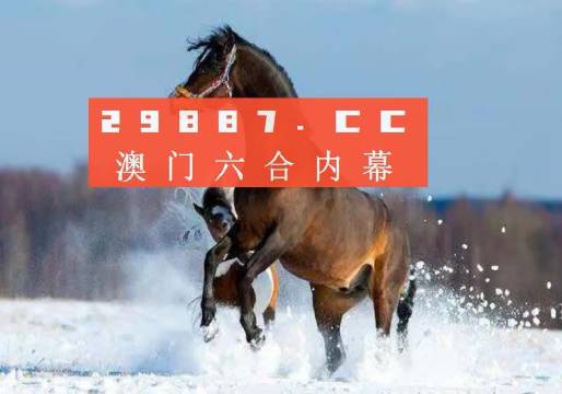 澳门一码一特一中准选今晚，深度解析与实用释义