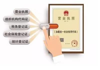 一肖一码一必中一肖，全面释义与落实策略