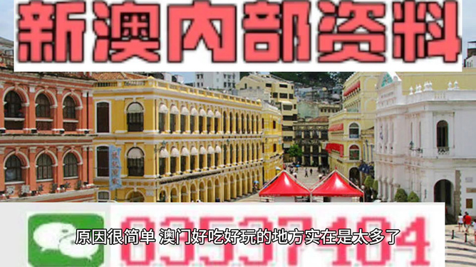新澳门内部精准公开，精选解析、深入解释与全面落实