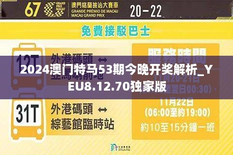 澳门特马今晚开，实用释义解释与落实展望