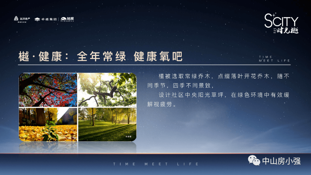新澳2025今晚开奖资料全面解析与释义