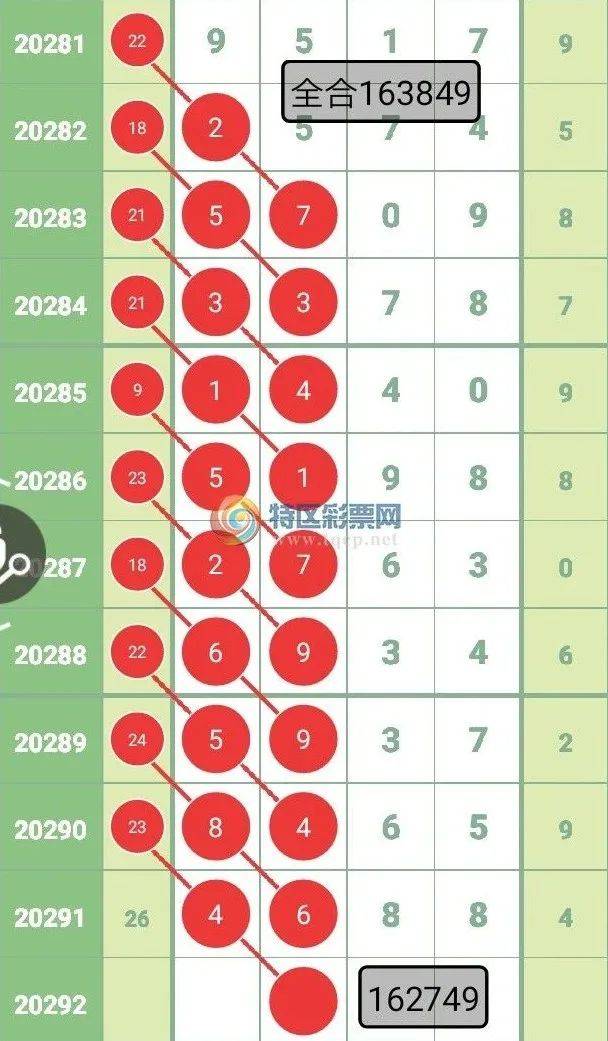 一肖一码一必中一肖——深度解读与落实策略