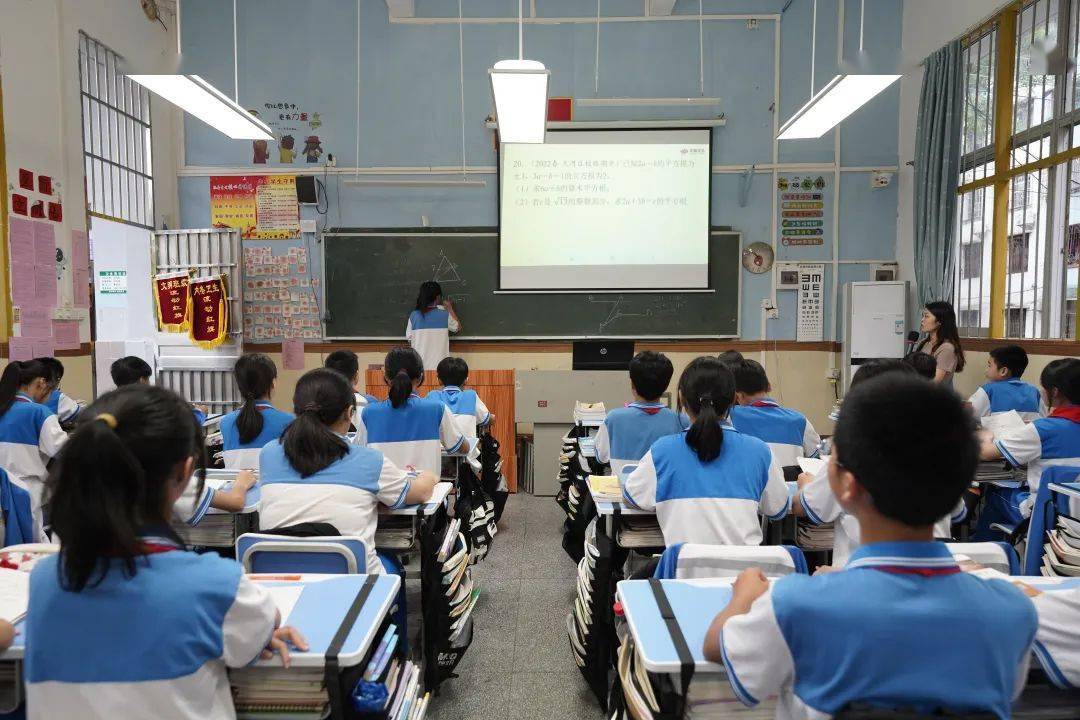 一码一肖一特一中，全面阐释与深入落实的策略分析