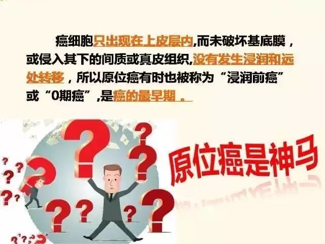 2024香港资料大全正新版，精选解析、细致解释与有效落实