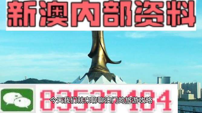 澳门最精准免费资料大全旅游团，全面贯彻落实与深度解读