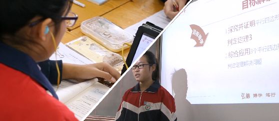 最准一肖一码一孑一特一中，全面释义、解释与落实