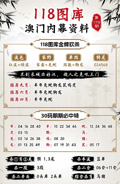 新澳门黄大仙三期解析与精选解释