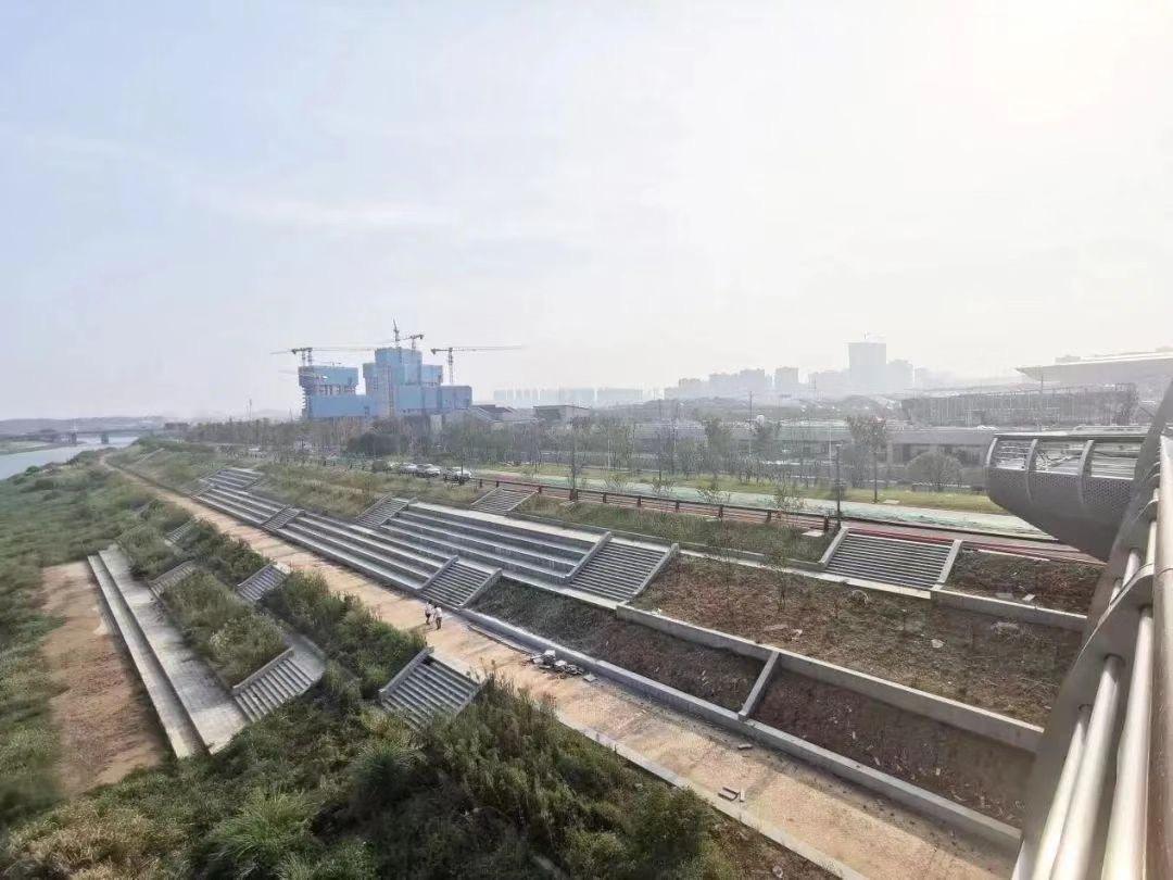 精准资料提供与解析落实，迈向未来的蓝图构建