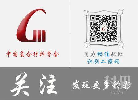 一肖一码一一肖一子，全面阐释与深入落实