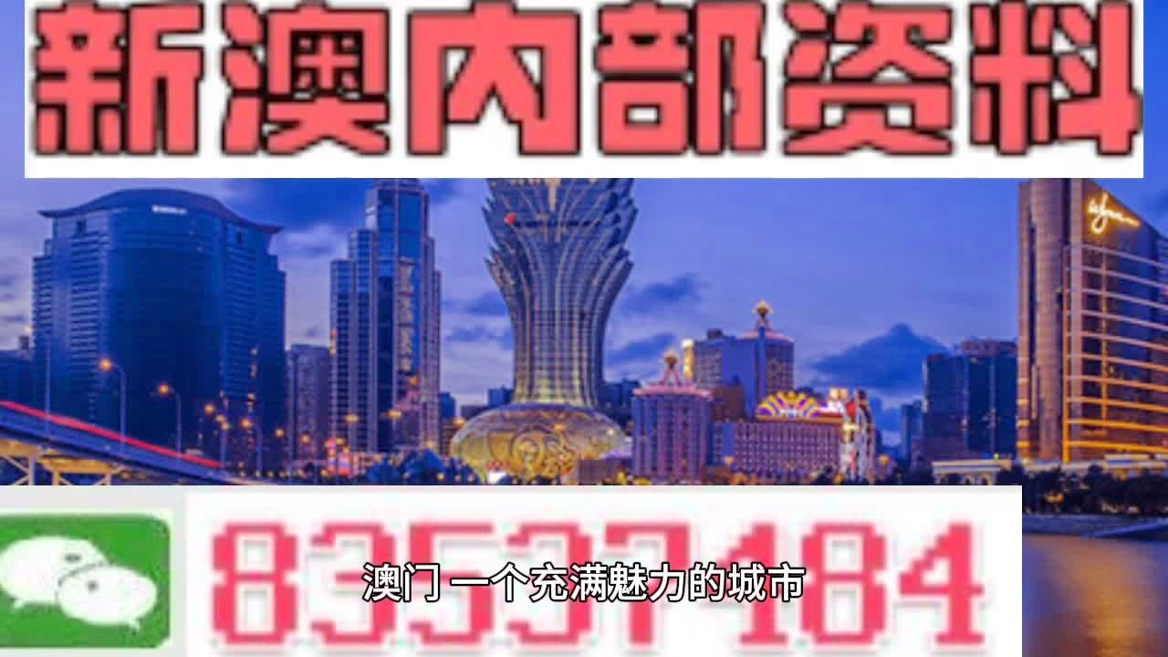 澳门今晚必开一肖，全面解析与贯彻落实的重要性