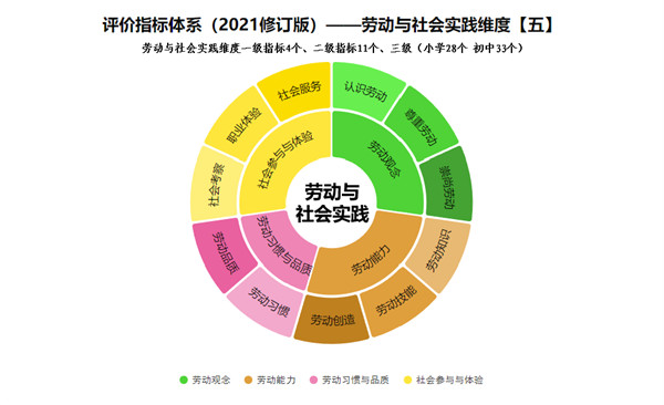 一肖一码一特一中，深度解读与落实策略
