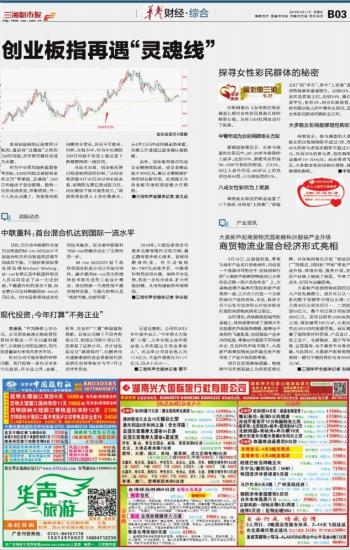 探寻数字背后的故事，王中王中特与词语释义落实的奥秘