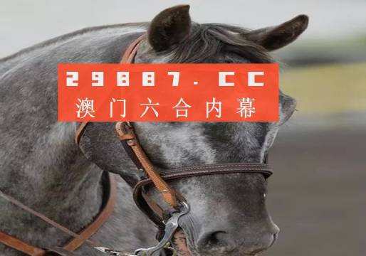 澳门一肖一码一一特一中厂i精选解析解释落实