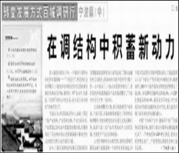探索新澳开奖记录，实地释义与行动落实