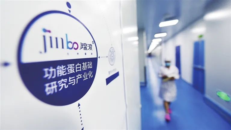 新奥今天内部资料，业务释义解释落实深度探讨