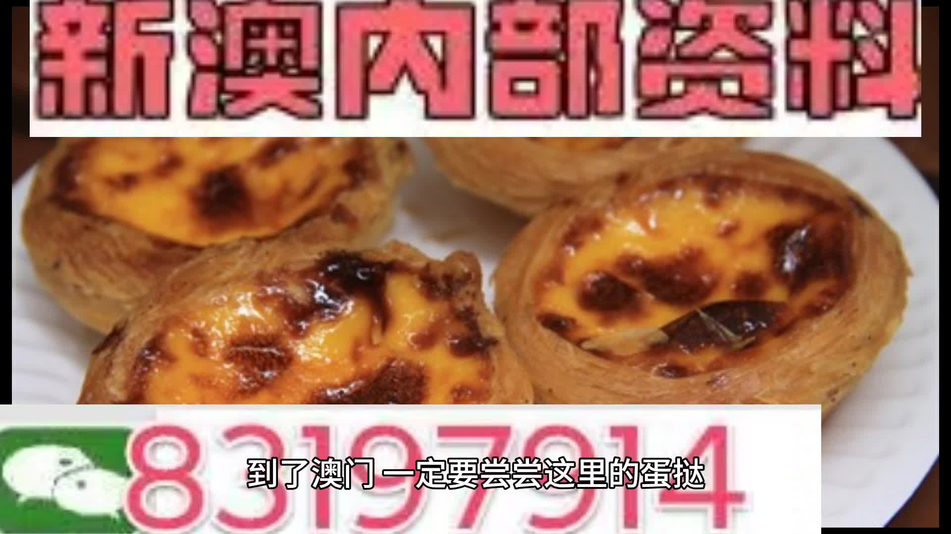 新澳门资料大全正版资料，深厚释义、解释与落实