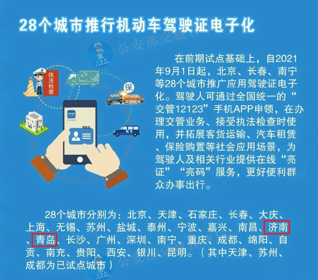 新澳天天开奖资料大全最新5，深度解析与落实策略