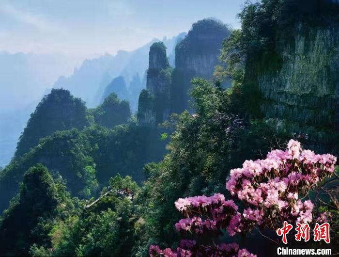 新澳天天开奖资料大全旅游团，可靠释义与落实之旅