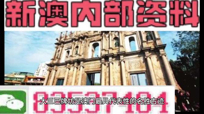 探索新澳资料大全，典雅释义与务实落实的交融