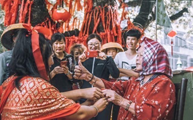 2025年十二生肖与49码图的融合，聪慧释义及其实际应用