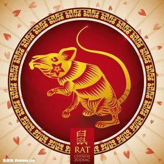 摇钱树四肖八码期期三码必中与学问释义解释落实
