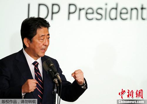新澳门精准资料大全管家，效率释义解释落实的重要性