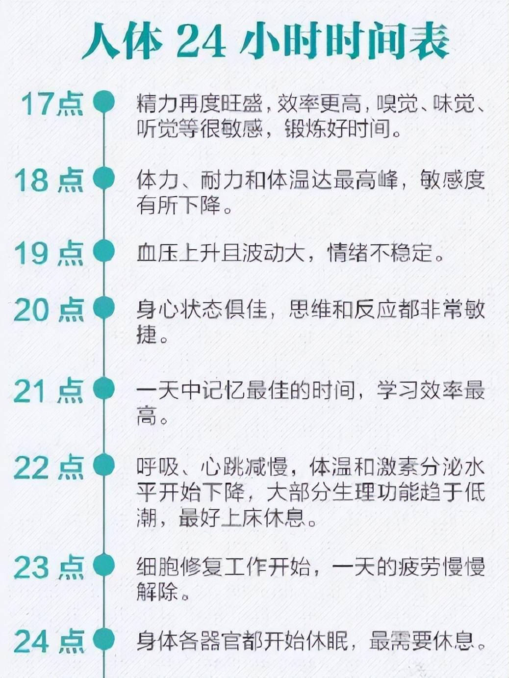 探索新版跑狗管家婆，身体释义与落实行动的重要性