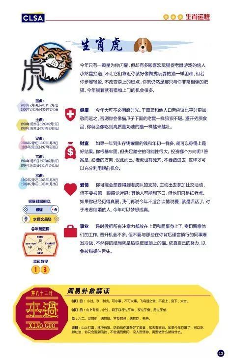 澳门今晚生肖揭晓，杯盘释义与预测展望