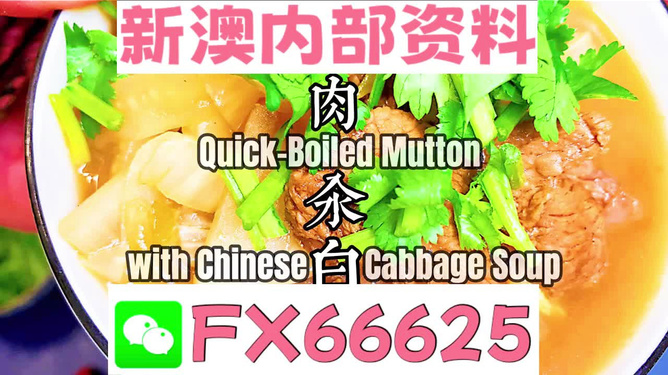 管家婆一码中一肖2025，管理的释义解释与落实