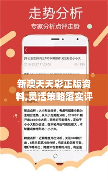 新澳天天彩免费资料查询85期，释义解释与落实策略