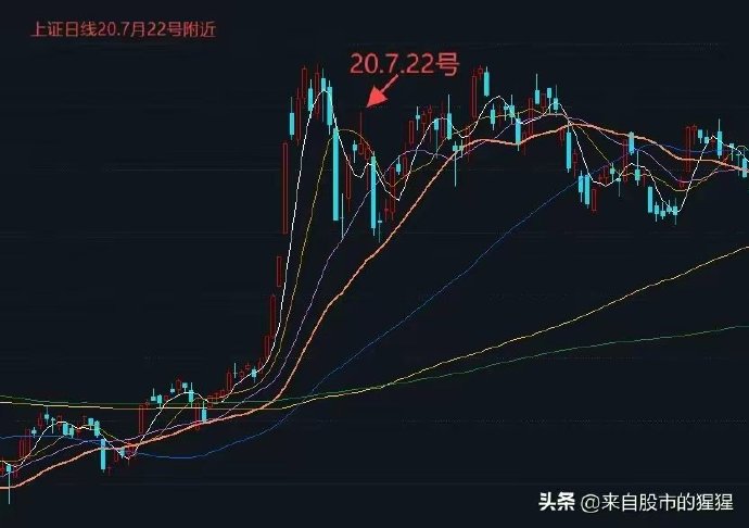 澳门特马今晚开奖与股东释义解释落实，深度探讨与理解