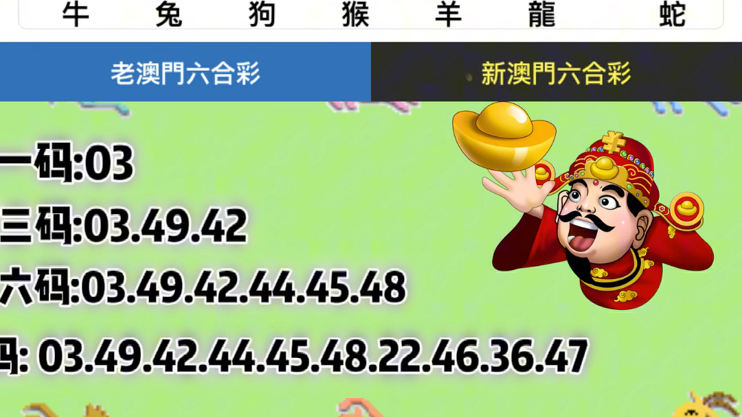 新澳门六开奖结果2025开奖记录与释义解释落实
