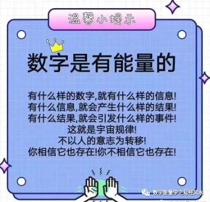 最准一肖一码，探寻精准预测背后的秘密与能耐释义解释落实