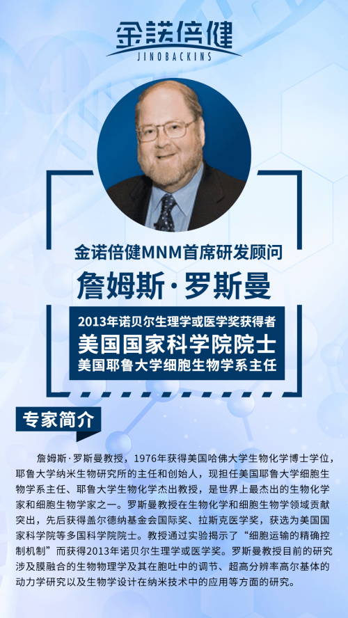 老奥正版资料大全免费版，正确释义与深入落实的探讨