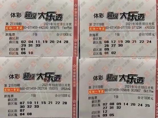 探索新澳门2004年彩票文化，天天开好彩的繁荣与落实释义解释