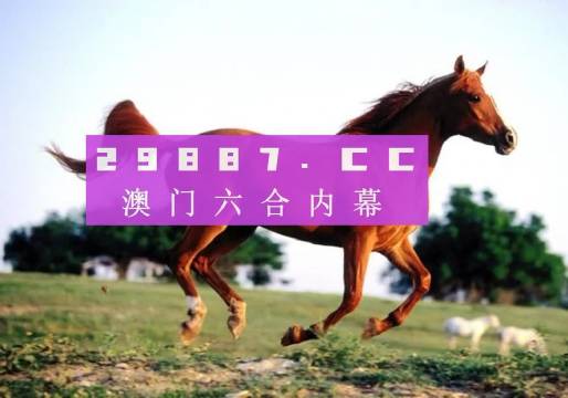 澳门一肖一码一一特一中，深度解析与释义