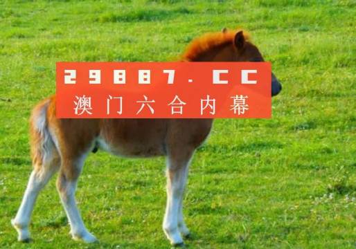 澳门一肖一码准选一码与回乡释义解释落实，探索与理解