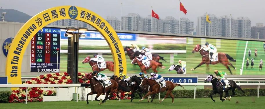 揭秘与解析，关于香港赛马在不久的将来实现全年免费资料的预测与探讨