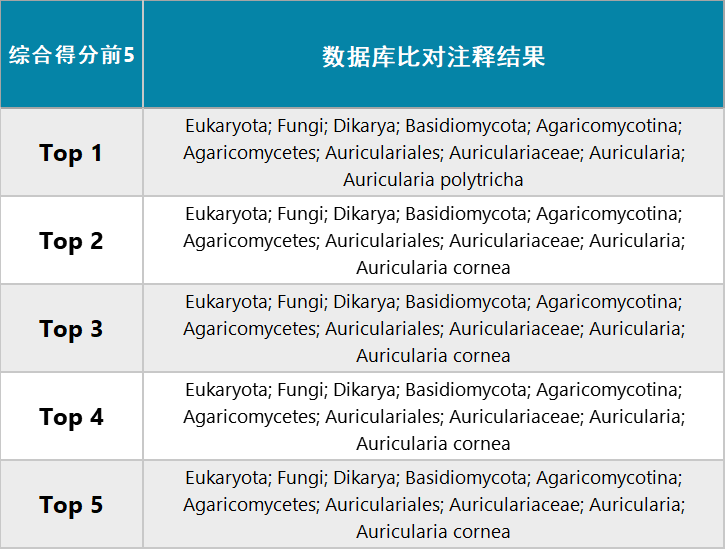 探索246天天天彩944cc资料大全，领袖释义与落实策略